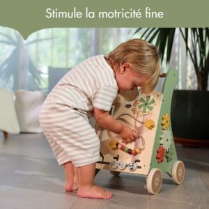 Tiny Love Chariot de Marche en Bois